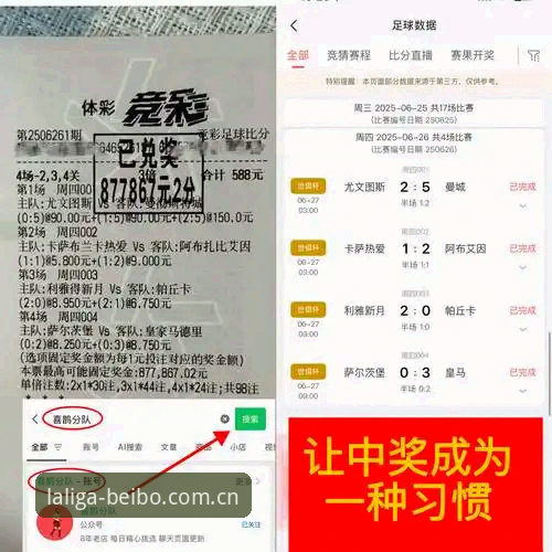 雷吉亚纳中锋补强与梅利伤病：意甲转会窗口的深度观察指南